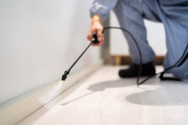 Licensed Termite Control service in Miles, TX - Nex Pest Control