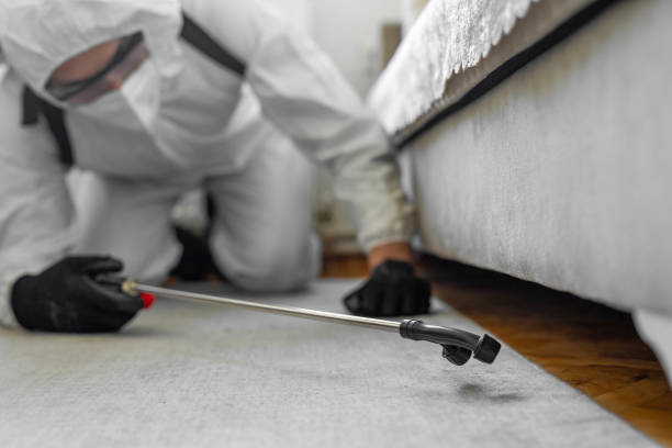Professional Termite Control technician working in Miles, TX