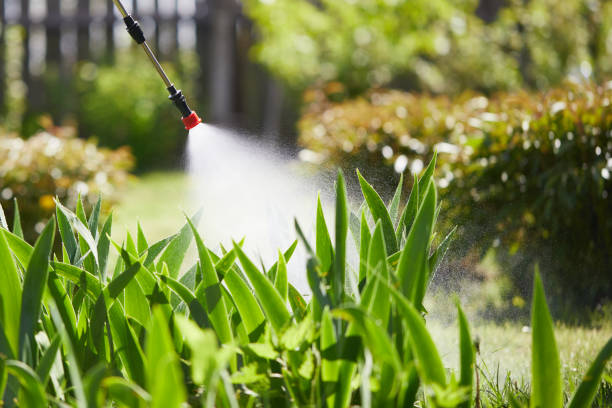 24/7 Emergency Termite Control experts in Miles, TX